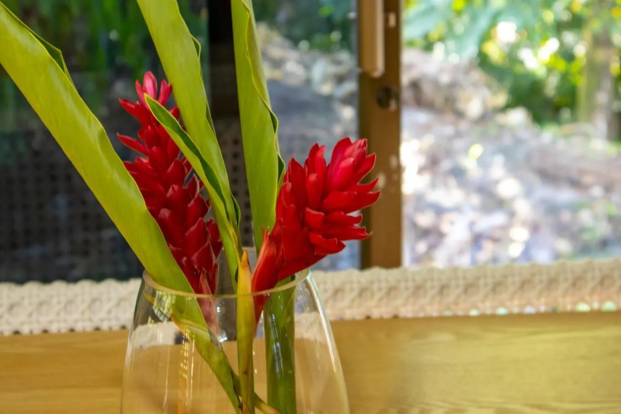 Cupid'S Stream Apartment Bel Ombre Seychelles